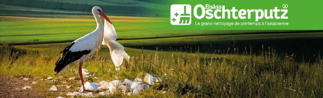 2026_01_Elsass_OschterPutz_bannière_Linkedln_cigogne_1400x425px
